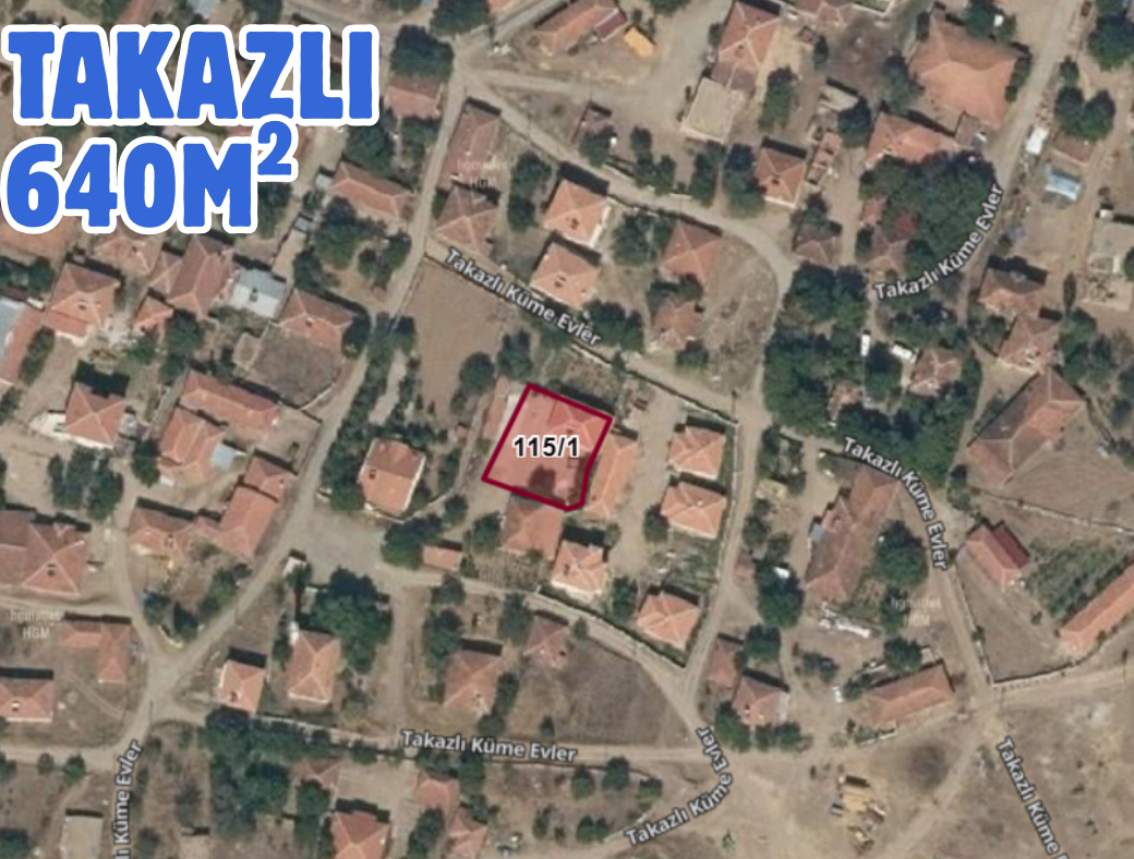 Fotoğraf
